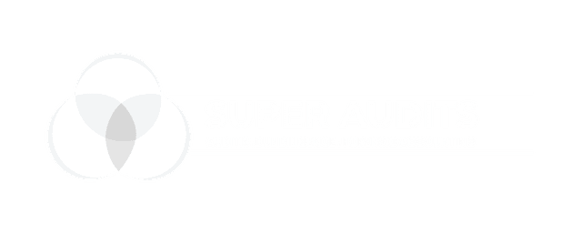 Super Audit