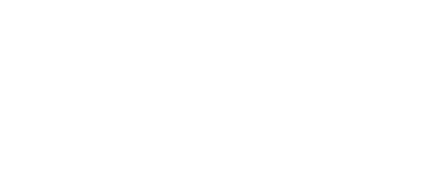 Public Sapient